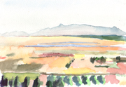 Landschaft in der Toscana